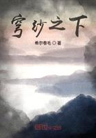 穹紗之下