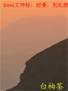 Boss太神秘：甜妻，別亂撩
