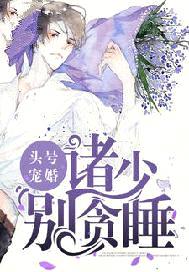 頭號寵婚：諸少，別貪睡