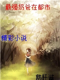 最強奶爸在都市