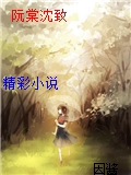 阮棠沈致
