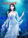 風中的流影